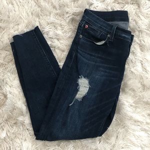 Hudson Krista Super Skinny Raw Hem